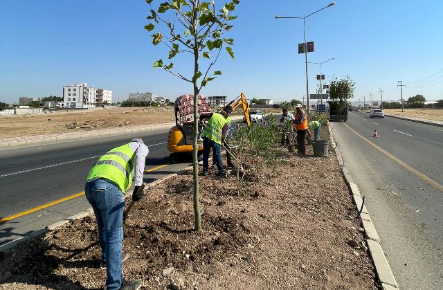 Çevre yolu yeşillendiriliyor