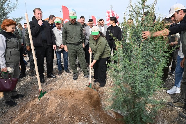 165 Bin Adet Fidan toprakla buluştu