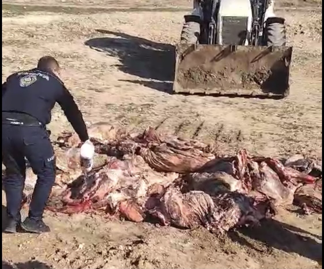 Kaçak kesilen et’ler imha edildi