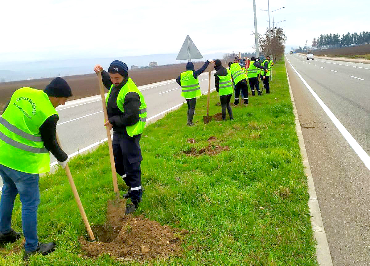 Belediye Batman’ı yeşillendiriyor