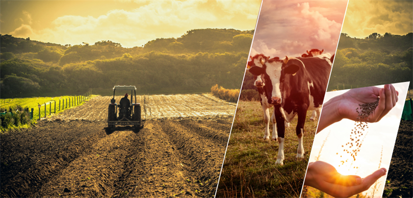 ‘Yatırımcılara %50 Hibe verilecek’