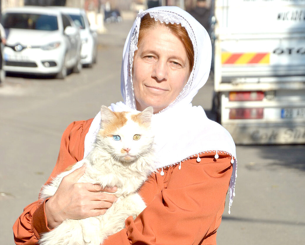 Fatma Türkan yeniden aday