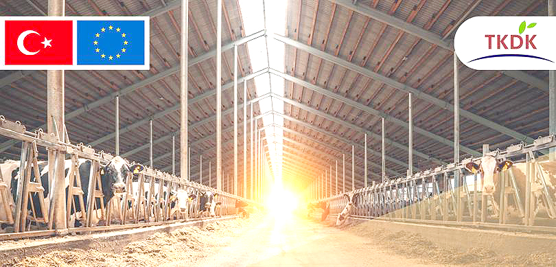 IPARD-II kapsamında 282 projeye 768 Milyon Lira hibe desteği