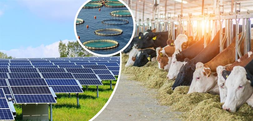 Kırsal Kalkınma Destekleri İçin Başvurular 19 Şubat’a kadar devam edecek