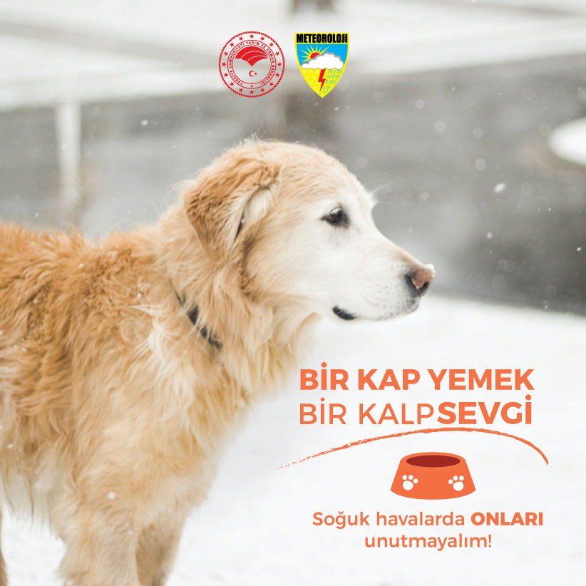 ‘Soğuk havalarda onları unutmayalım’