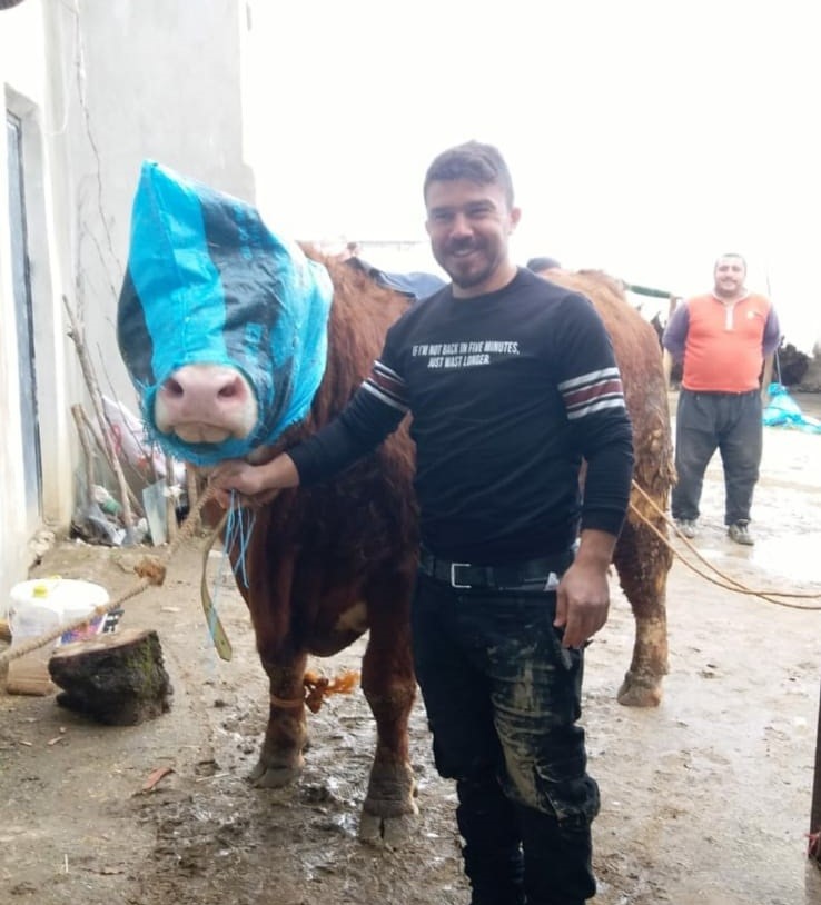 Artan yem fiyatları besicilerin belini büktü