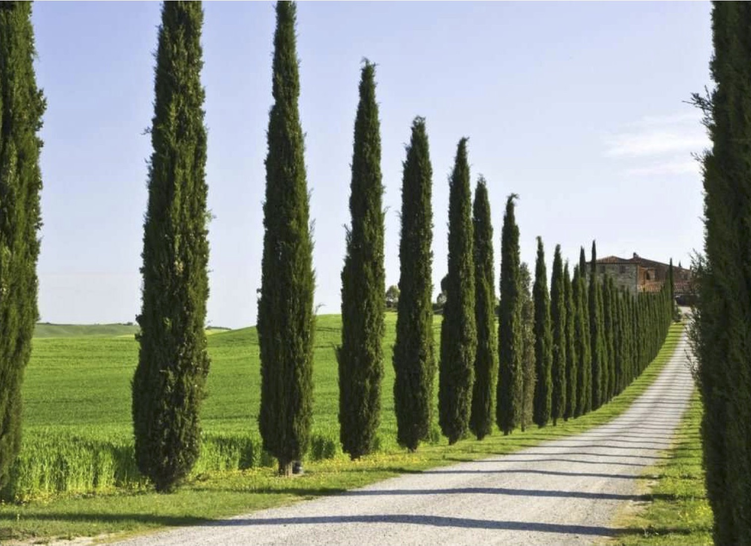 Batman yeşil kuşakla çepeçevre sarılacak