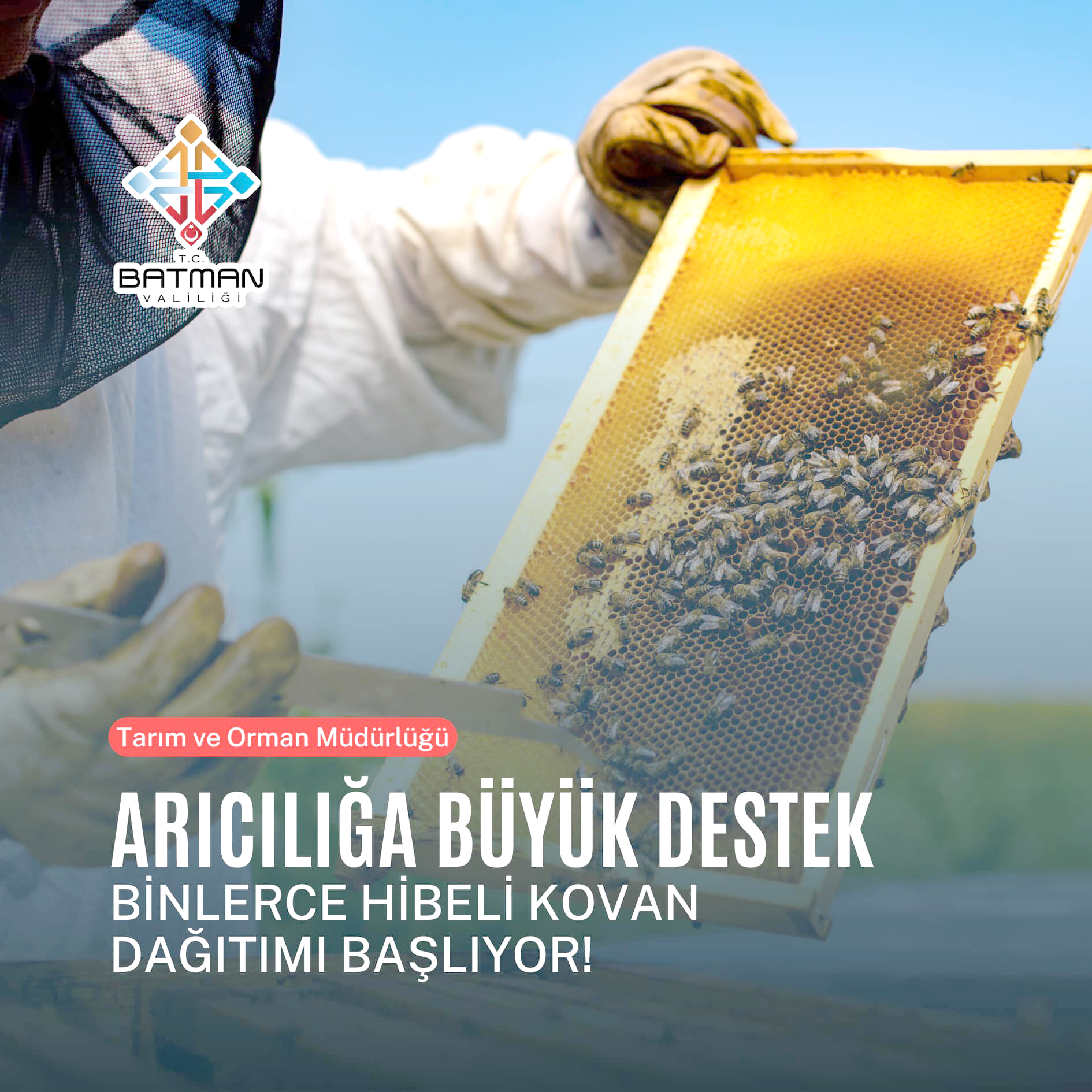 Arıcılığa kovan desteği