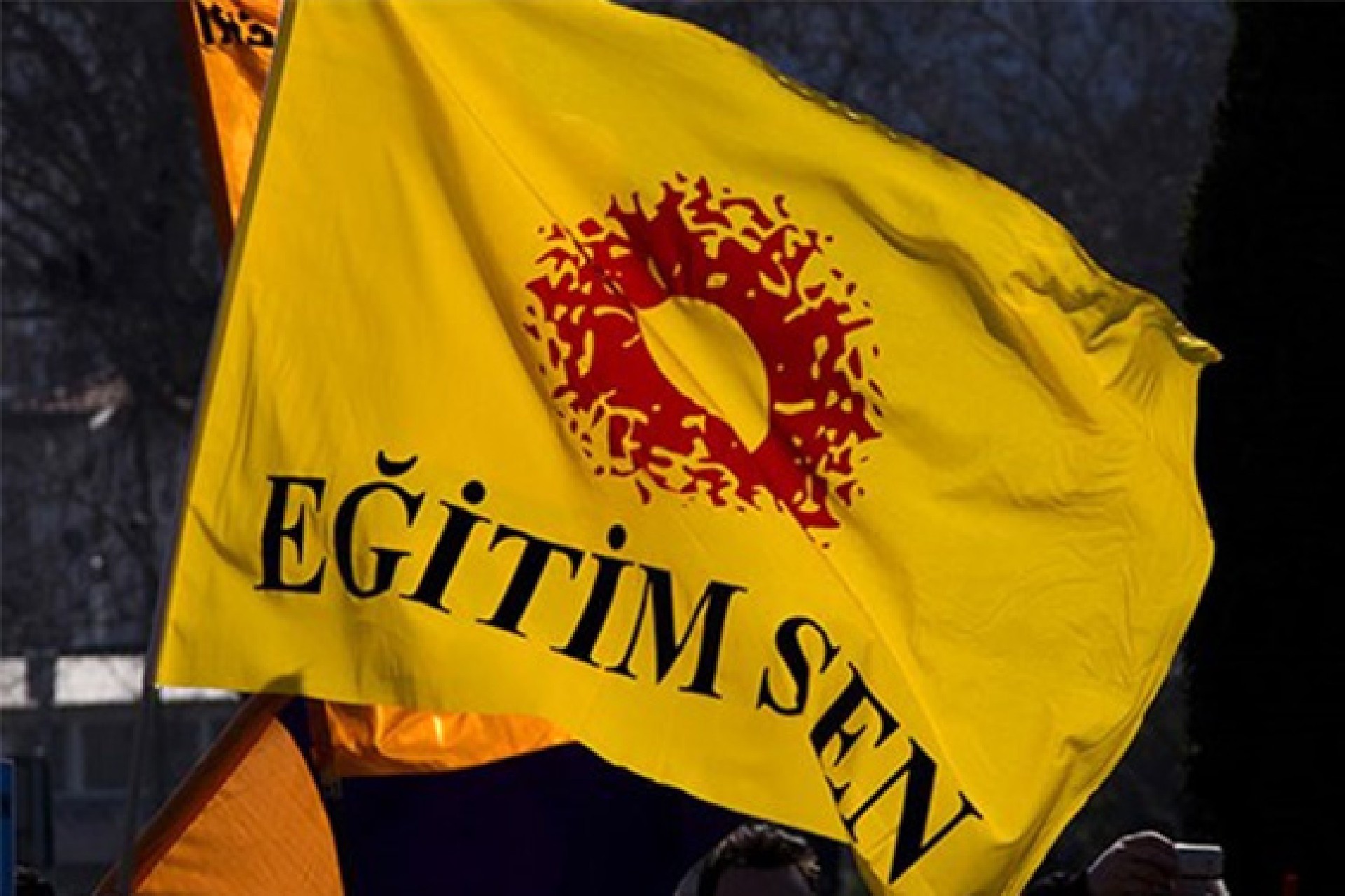 Eğitim-Sen:  Her çocuk anadilinde eğitim almalı