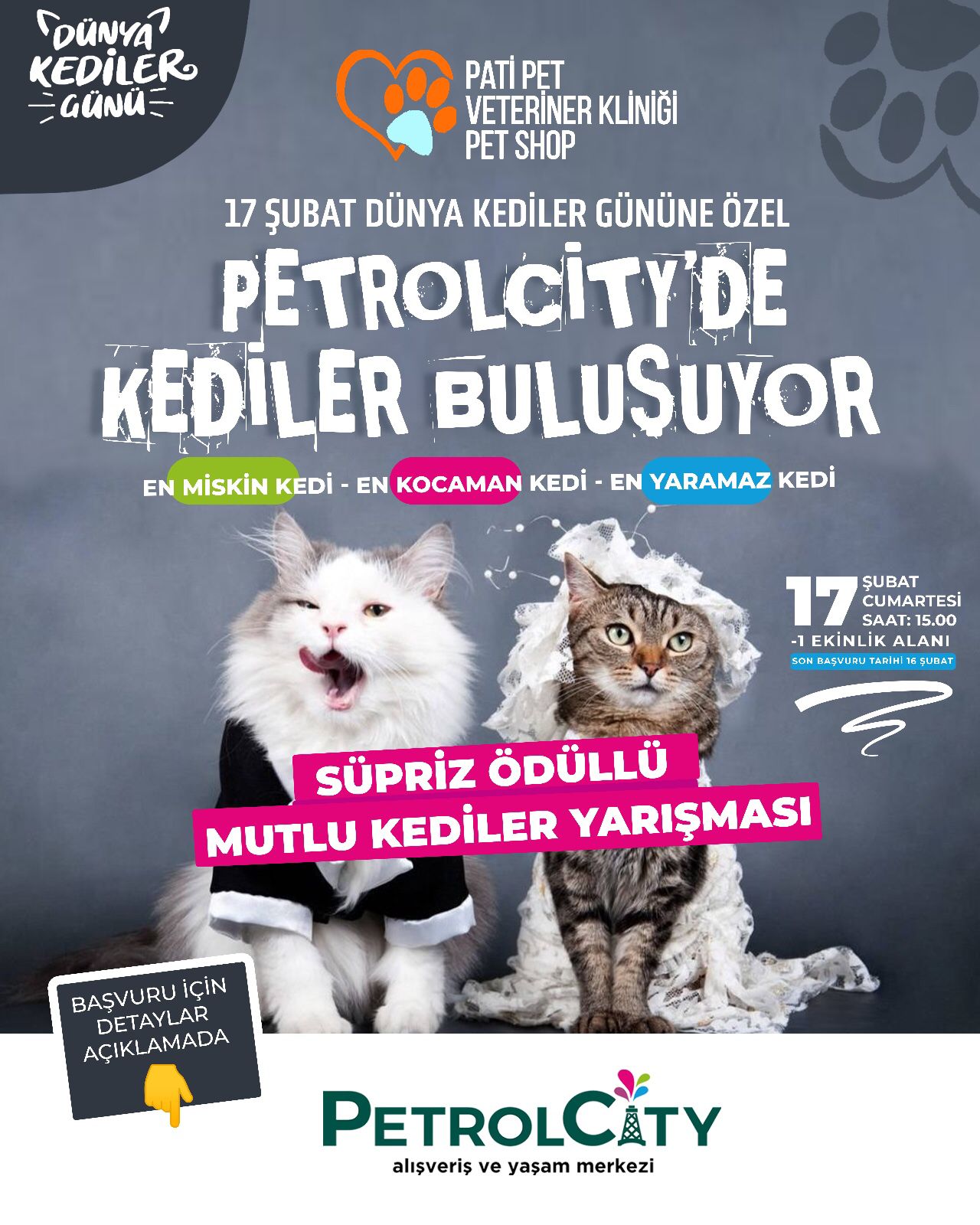 ‘En Güzel Kedi’ yarışması düzenleniyor