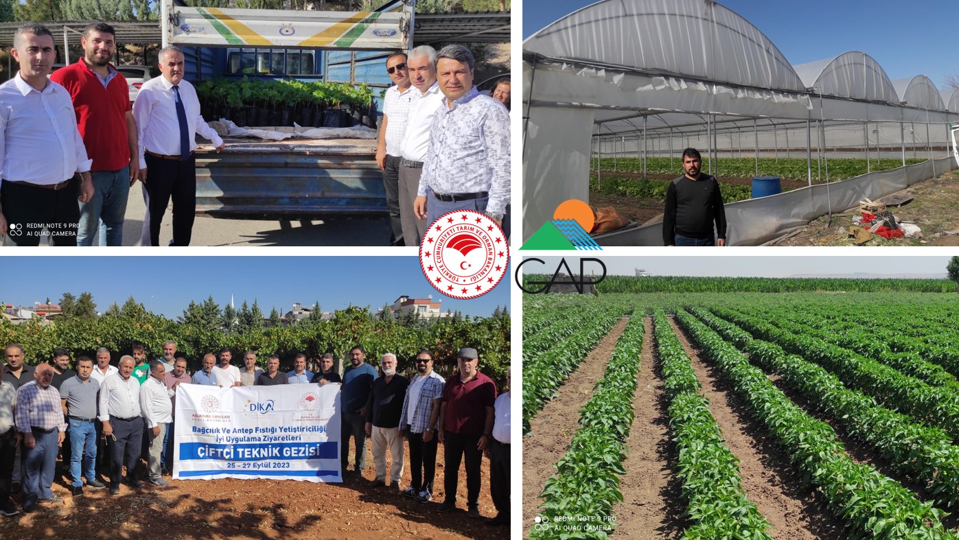 GAP Bölge Kalkınma İdaresi 3 Projeyi onayladı