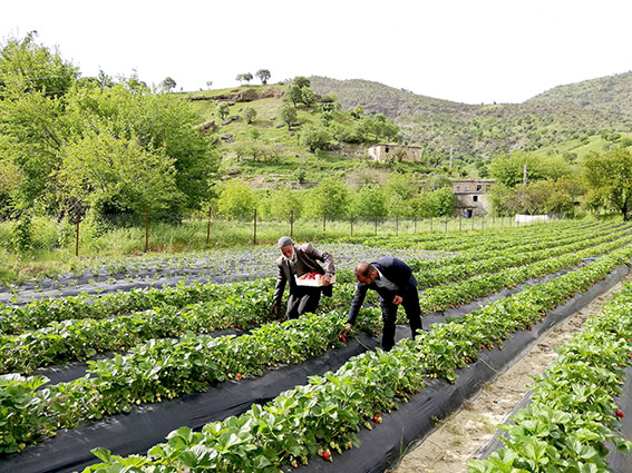 ÇKS güncelleme başvuruları başladı