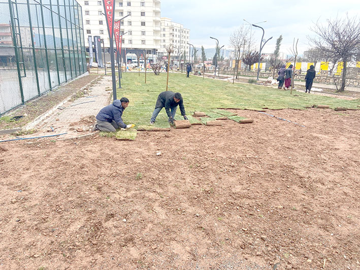 15 Temmuz Şehitler Parkı’nda çimlendirme çalışmaları yapıldı