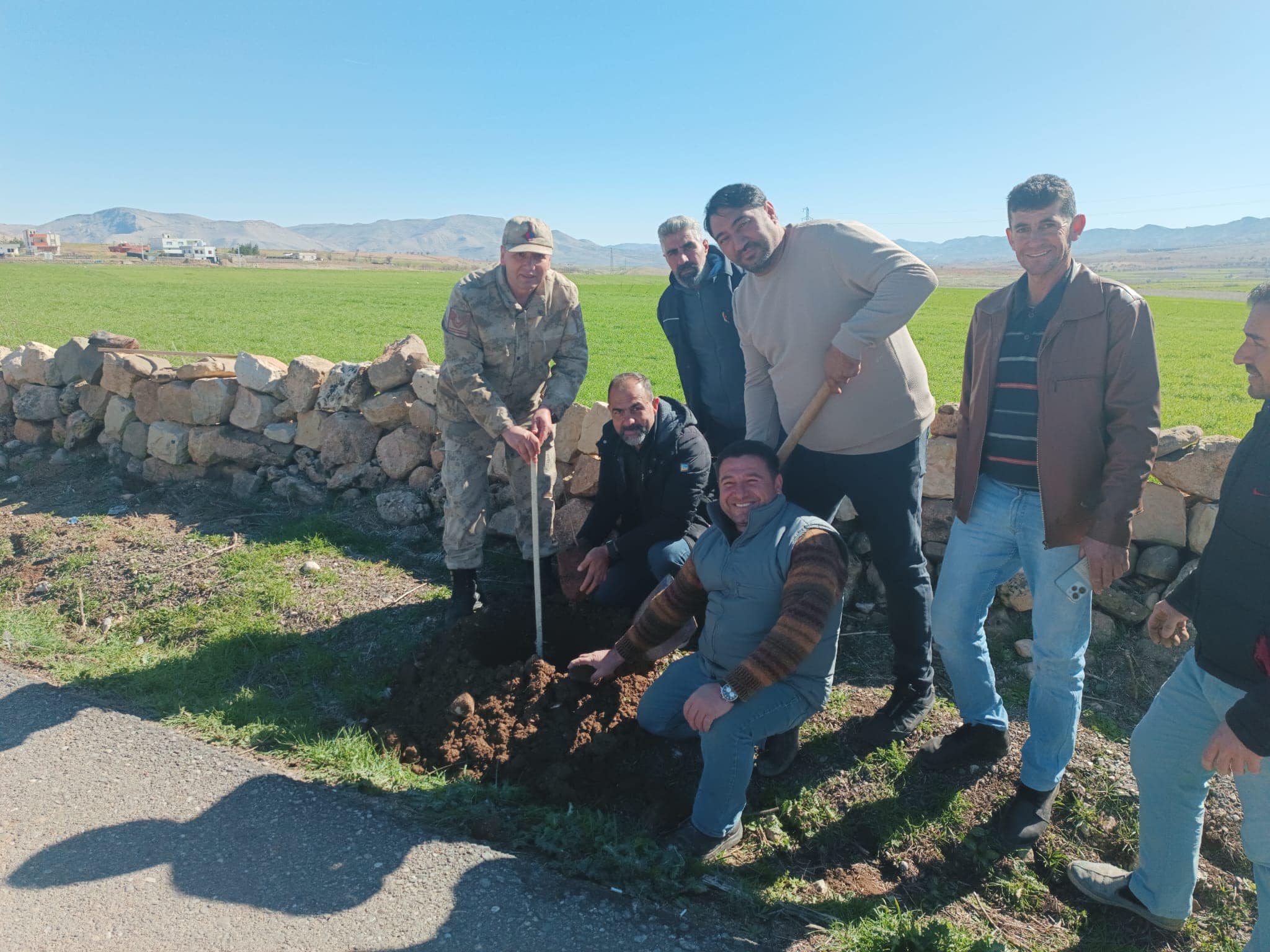 Köy yolu güzergahına 350 adet bıttım fidanı dikildi