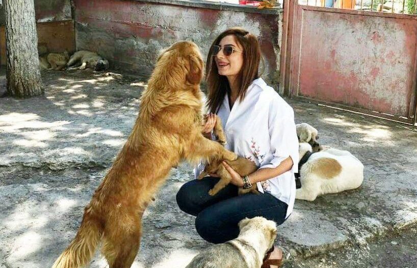 ‘Kötüye giden doğal yaşam, hayvanların neslinin tükenmesine sebep oluyor’