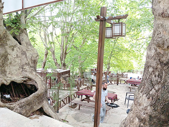 Mesire alanlarına akın ettiler