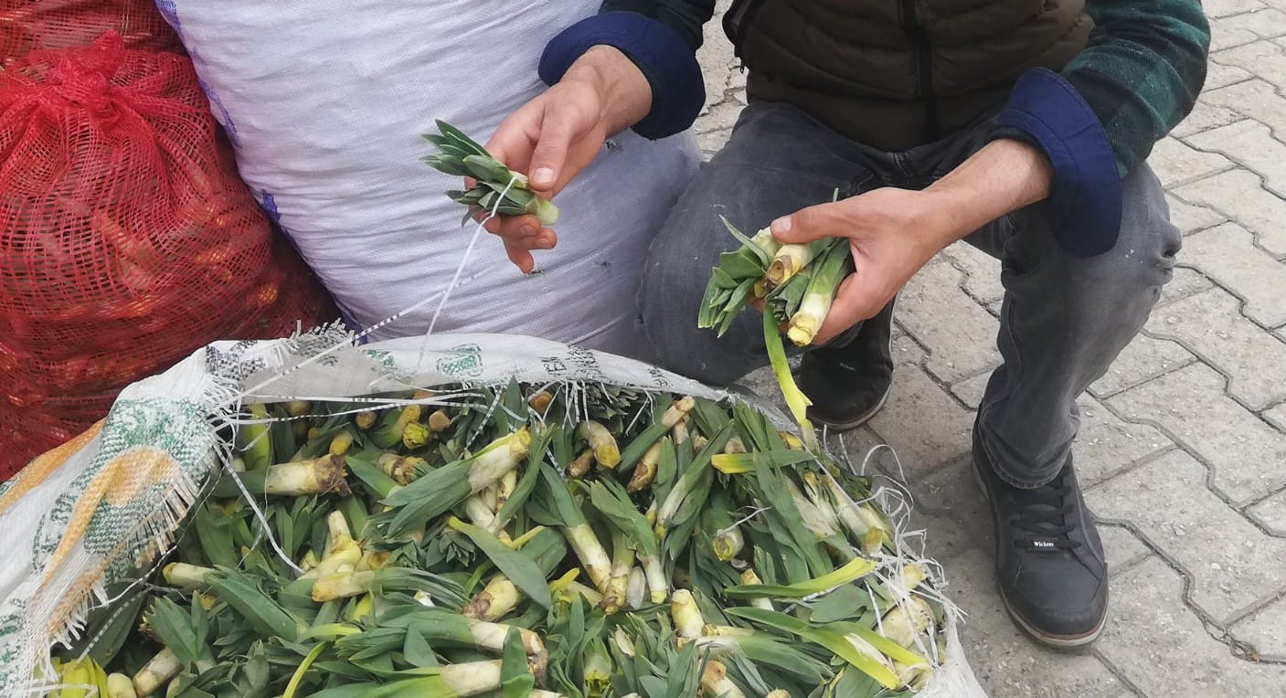 Pancar da yüksek fiyatlardan etkilendi