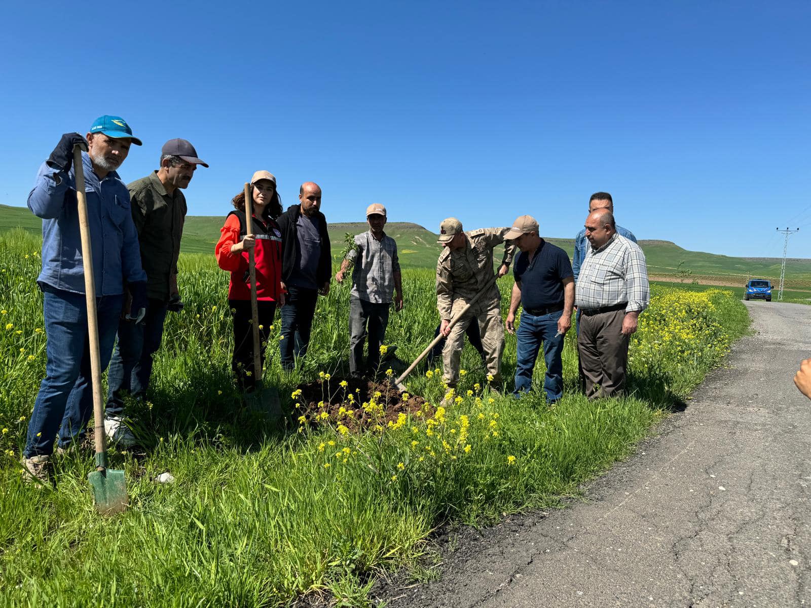 Beşiri’de 1200 adet meyve fidanı dikildi