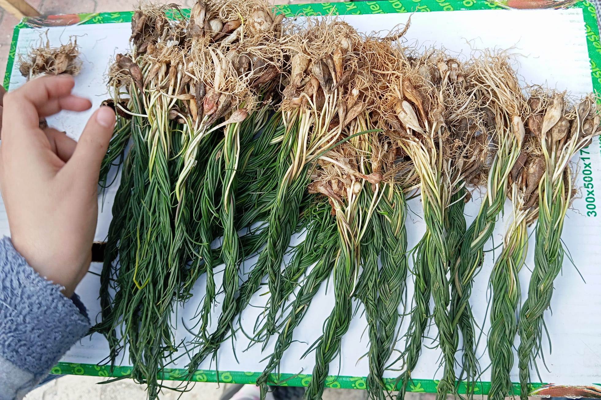 Fiyatı Çeyrek altınla yarışıyor