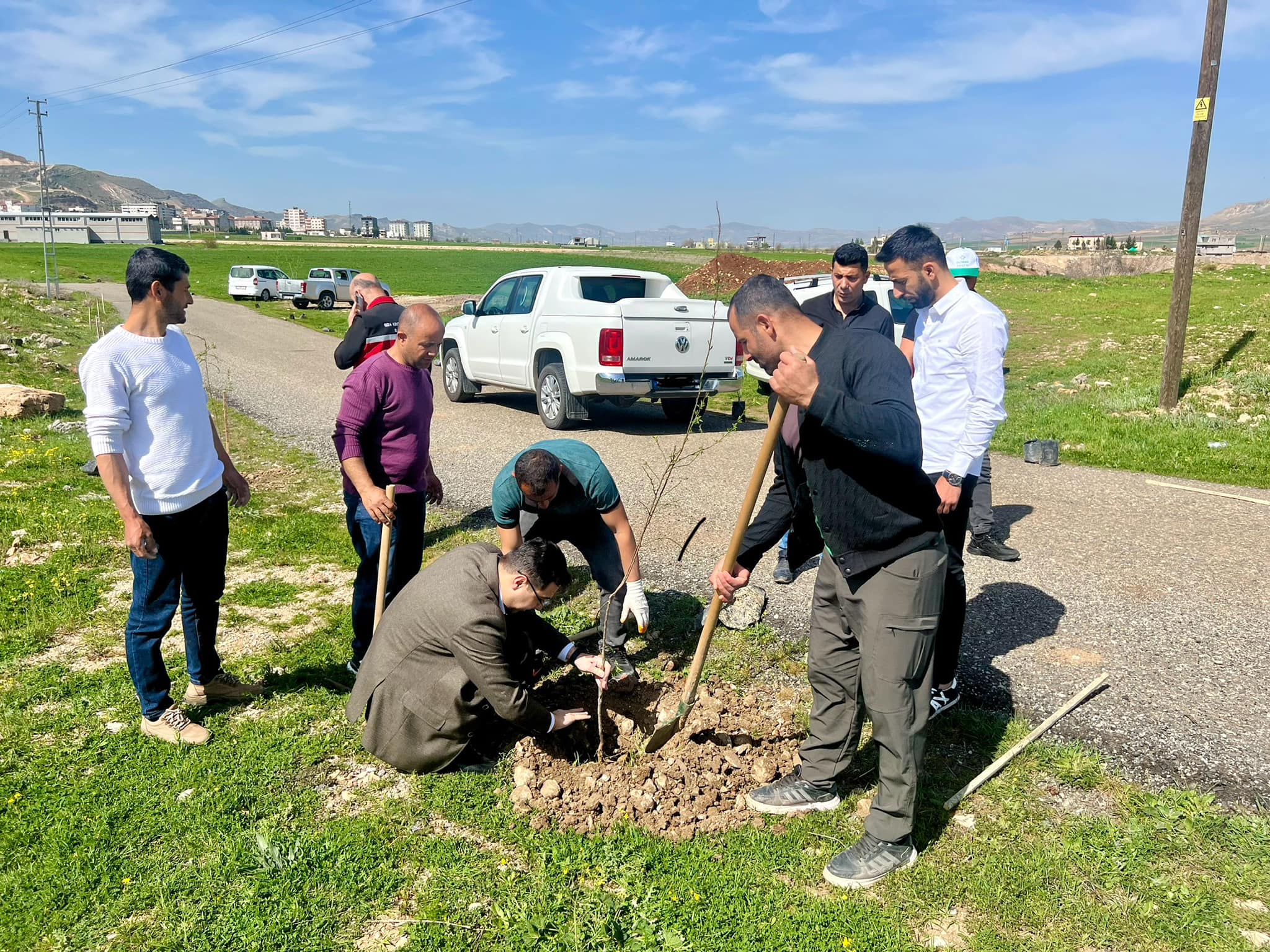 1200 adet meyve fidanı dikildi