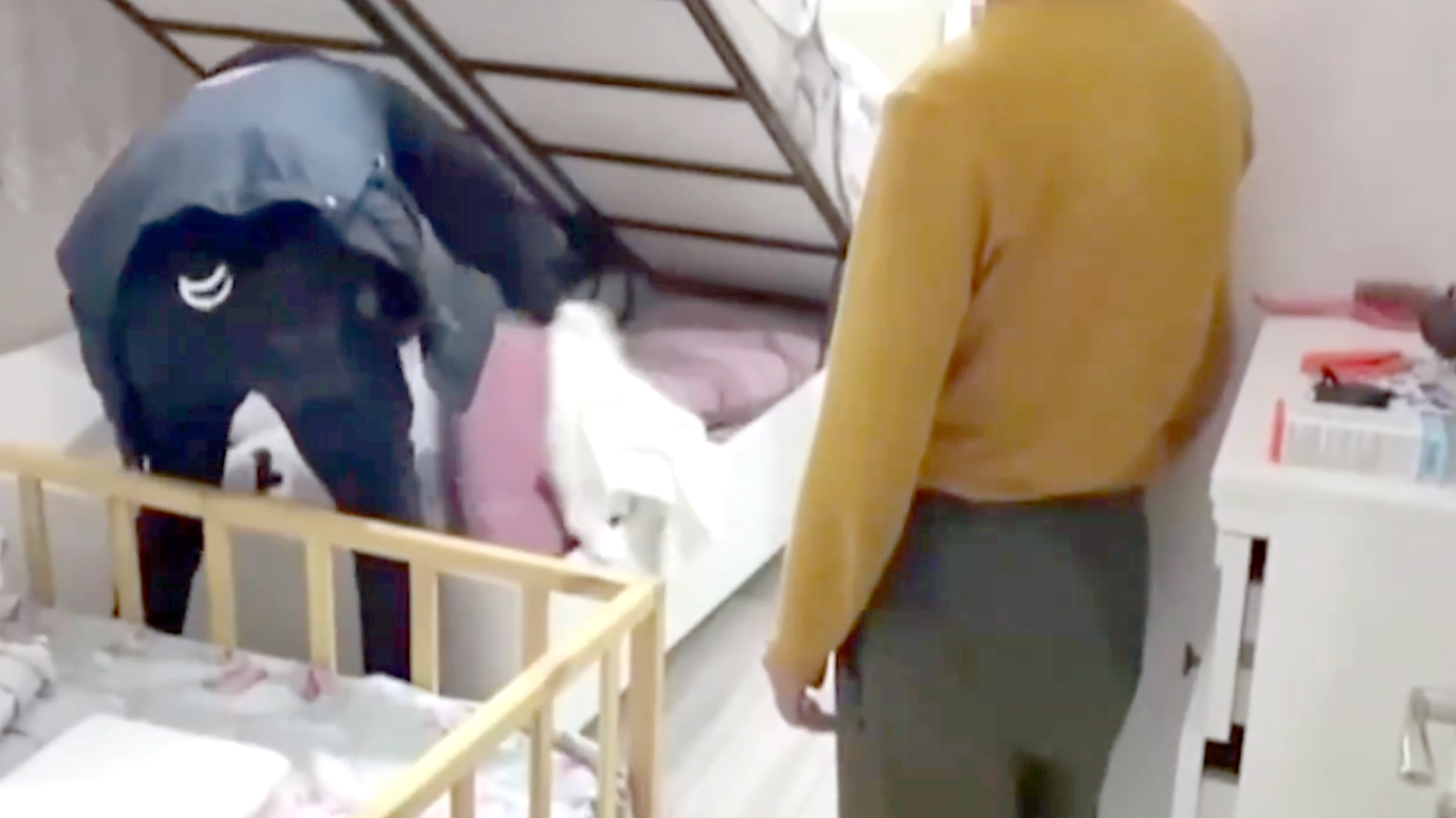 Dolandırıcılar yakalandı