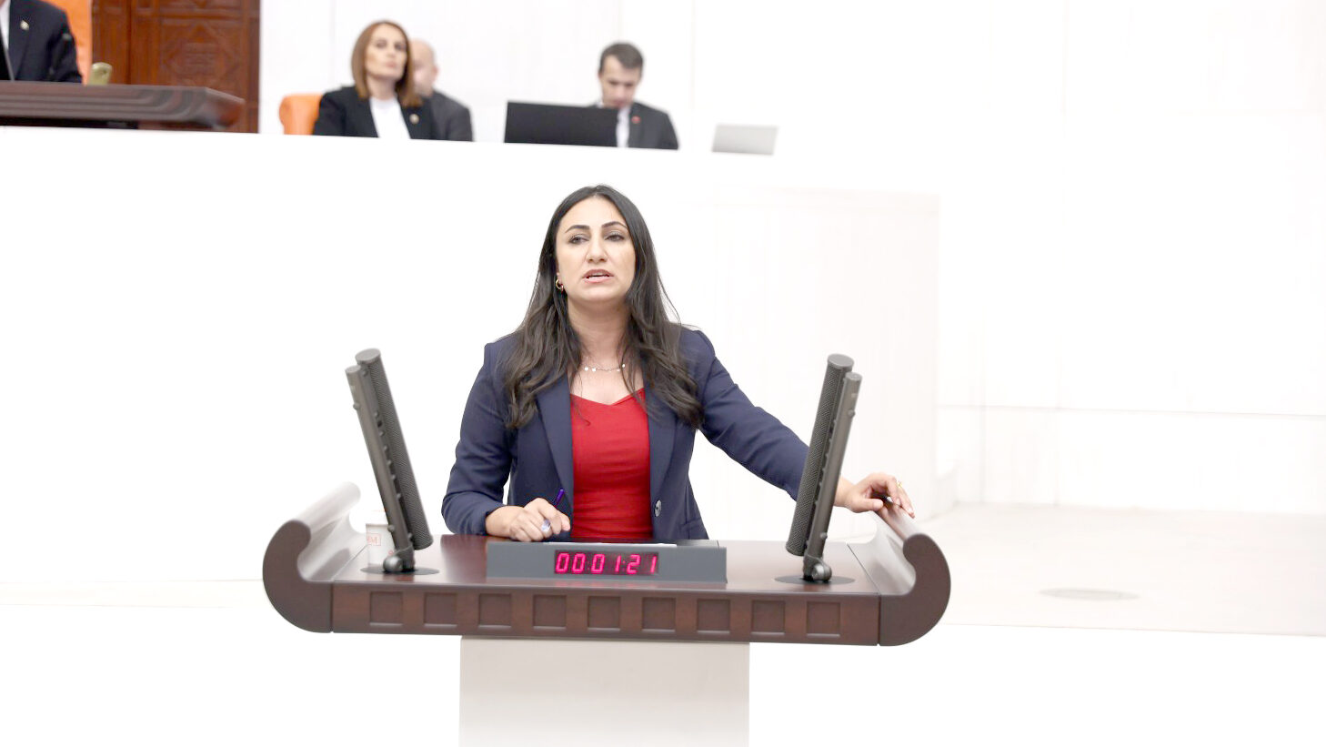 Batman’da eğitim alanında yaşanan sorunları Meclise taşıdı