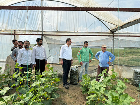 Ramanlı serada çalışan çiftçileri ziyaret etti