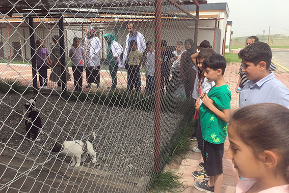 Öğrencilerden Hayvan Bakım Evine ziyaret