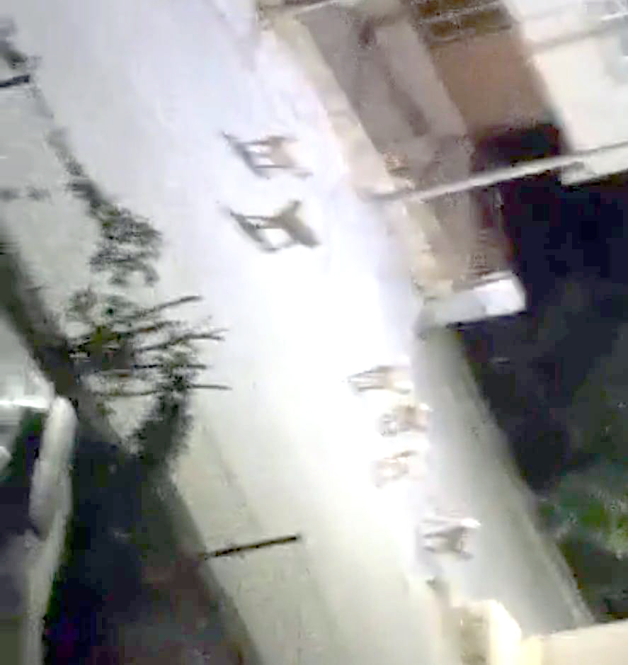 Sokak köpekleri için çözüm bulunmasını istiyorlar