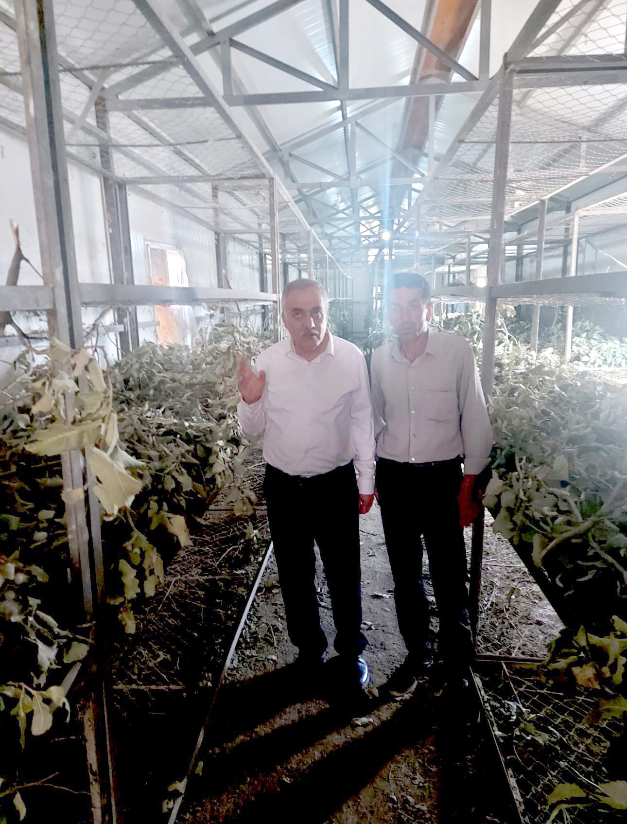 İpekböcekçiliği yapan üreticileri ziyaret etti