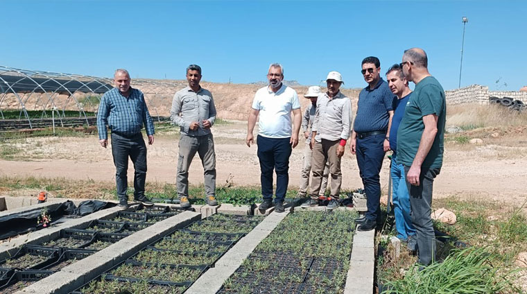 Tuz çalısı yetiştirme alanlarına inceleme