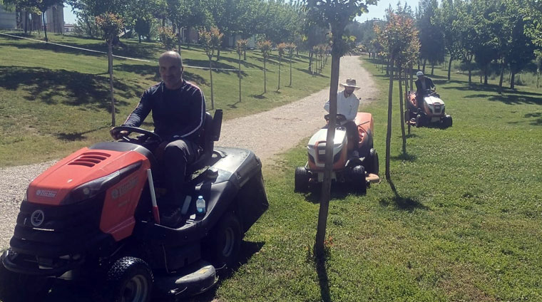 Yabanı otlar temizleniyor