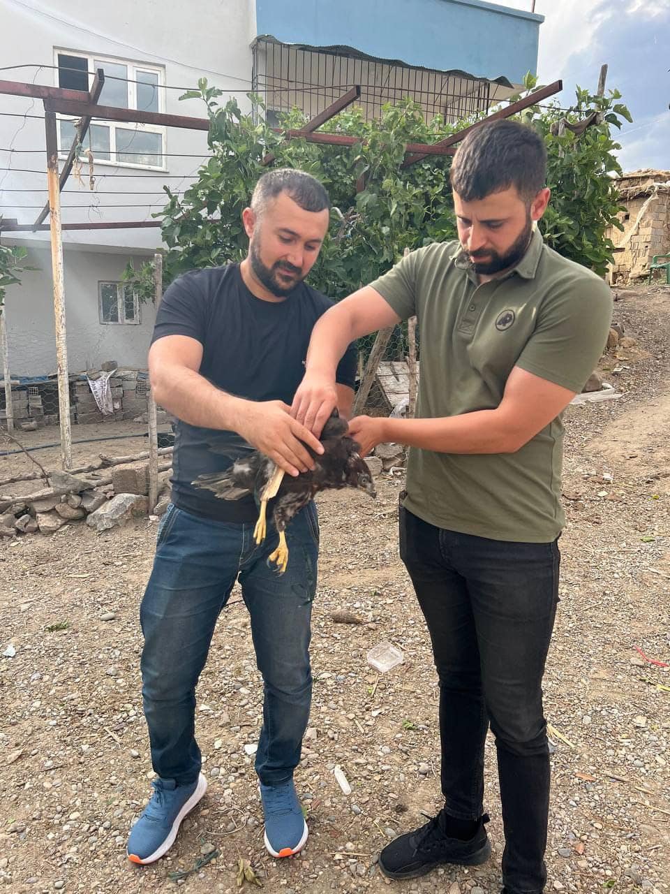 Yavru Kartal Emin Ellerde