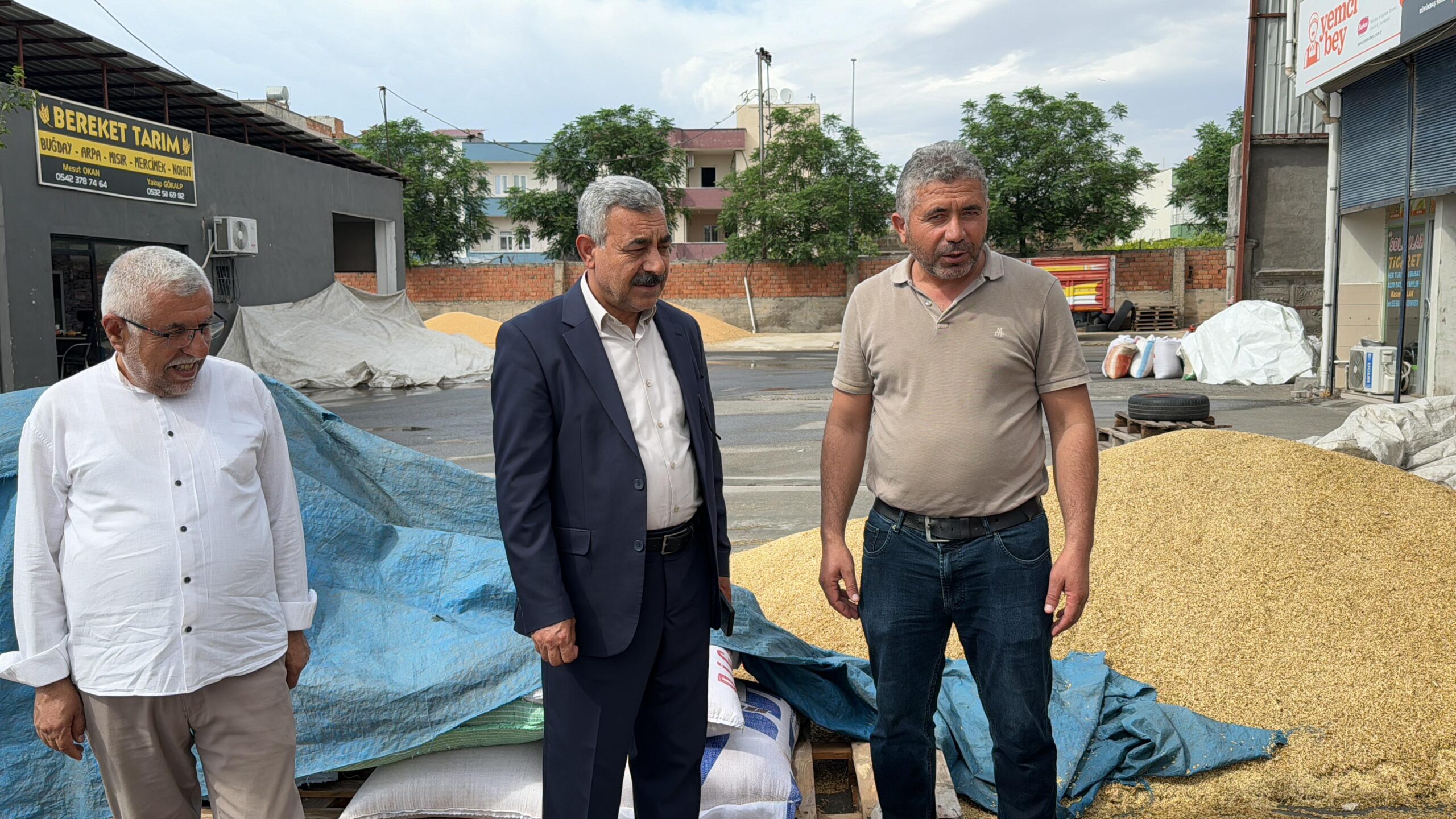 Başkan Şahin’den yağmurda zarar gören buğdaycılara ziyaret
