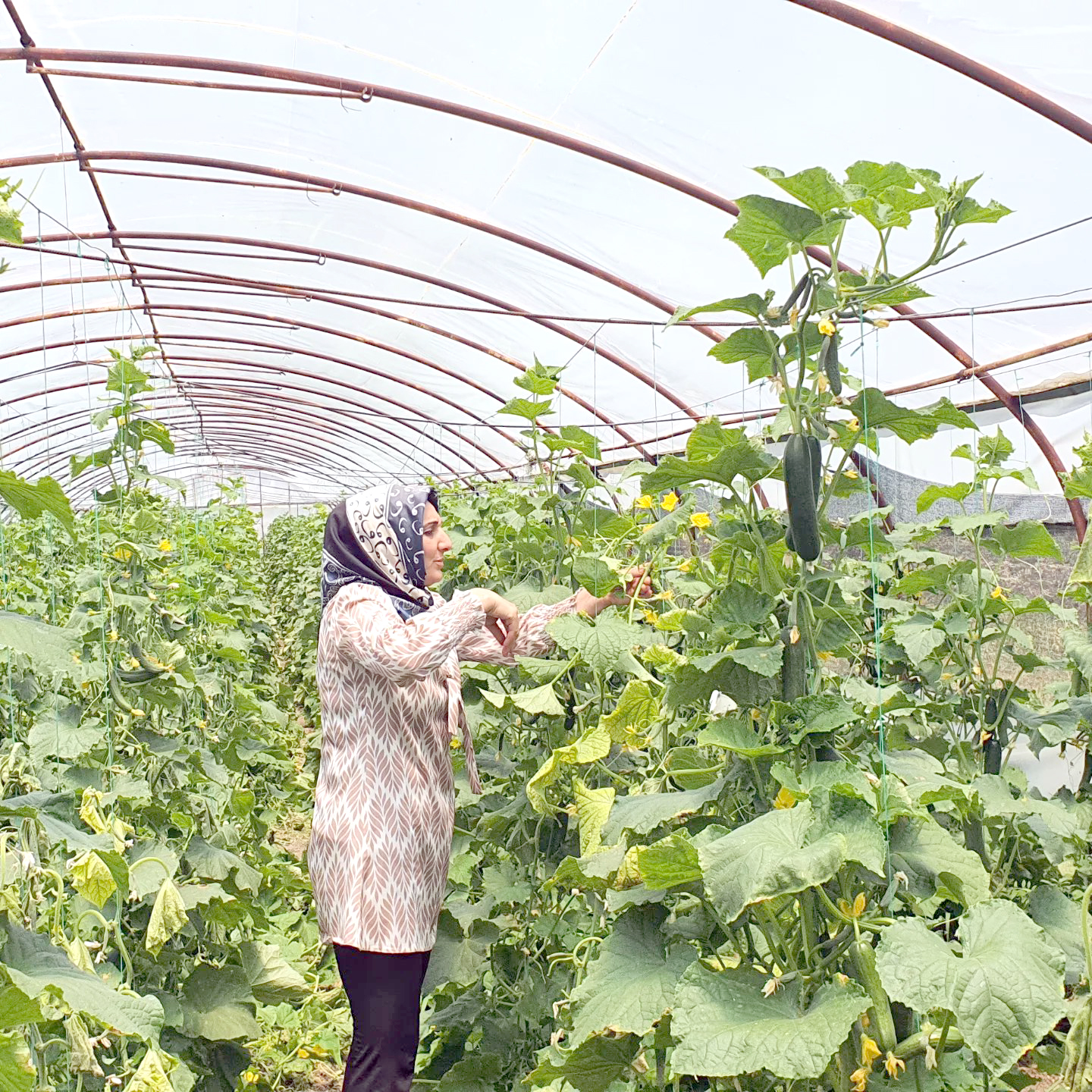 Tarımda Kadın Eli Bereketi