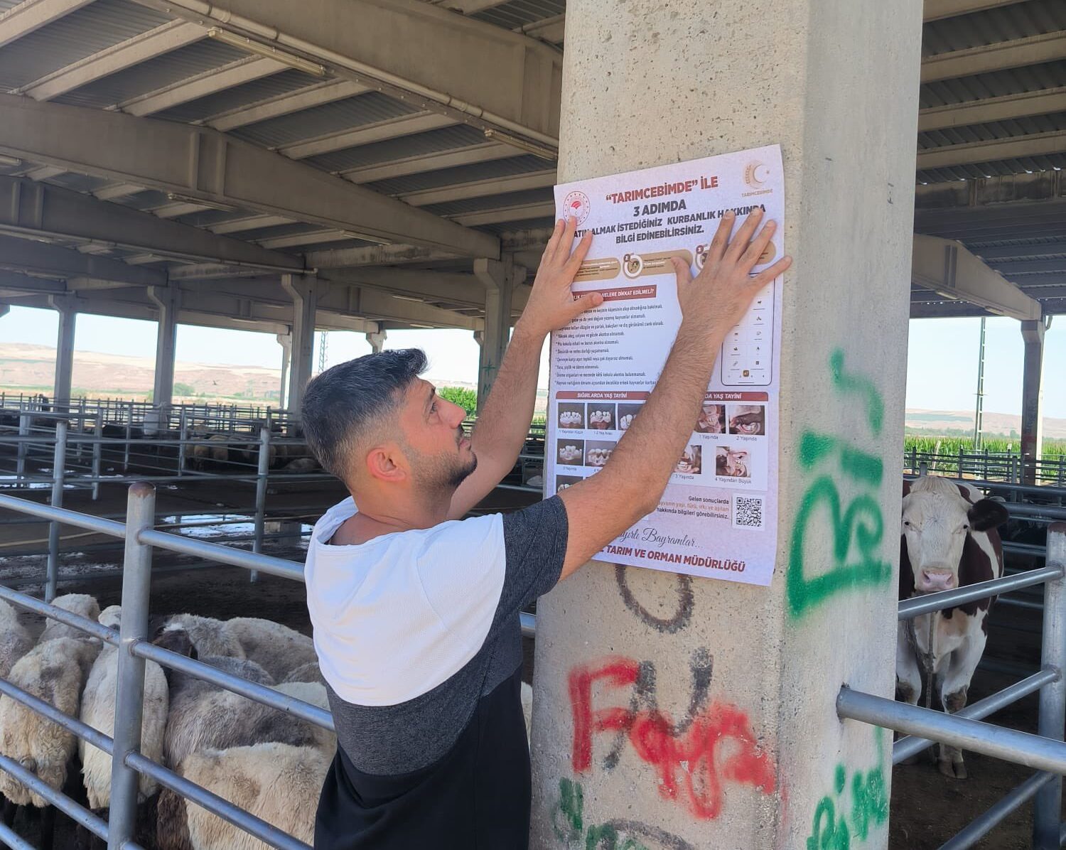 kurbanlık hayvan alacak vatandaşlara bilgilendirme