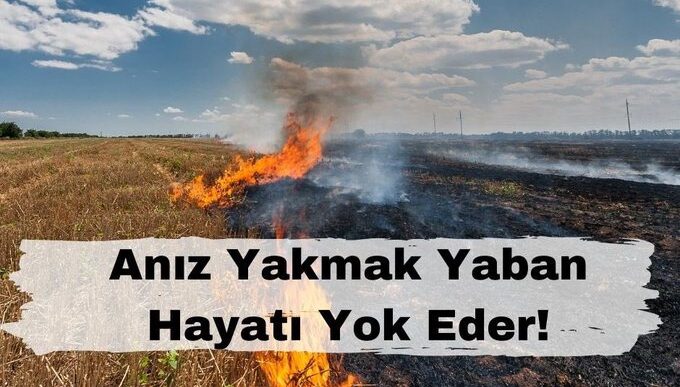 15 gün içinde anız yakan 12 Kişiye 263 bin 185 lira ceza kesildi
