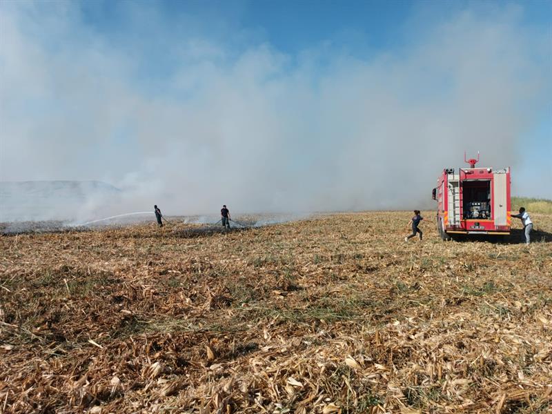 Anız Yakmak Yasak ve Cezası Ağır!