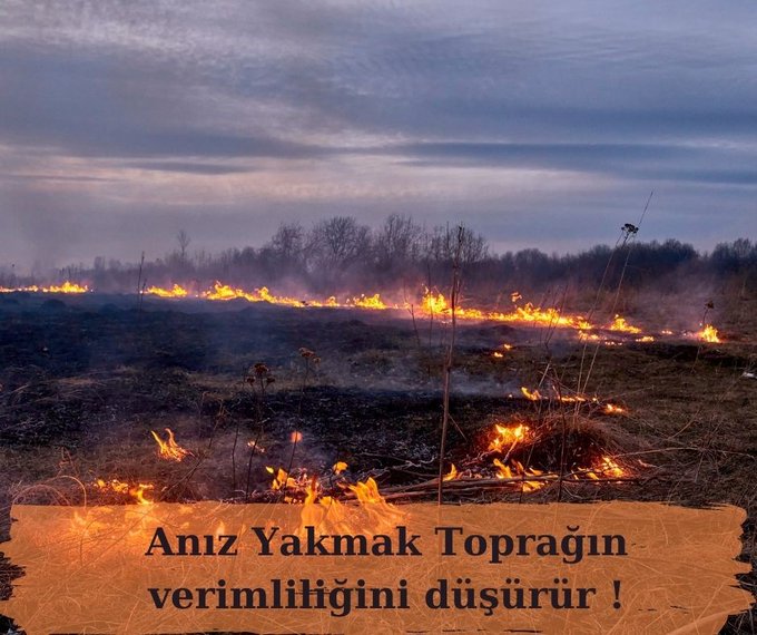 Anız Toprağın Geleceği, Toprak ise Bizim Geleceğimizdi