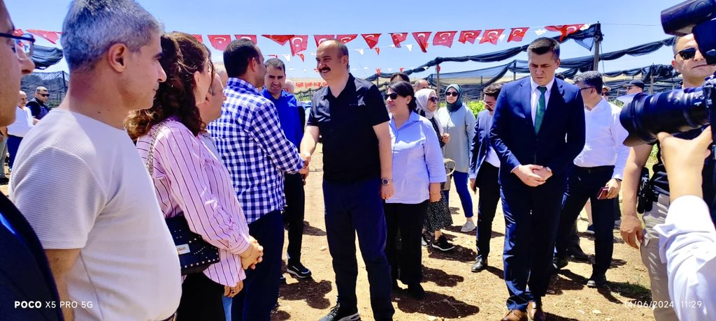 Batman’da Böğürtlen Hasadı Başladı