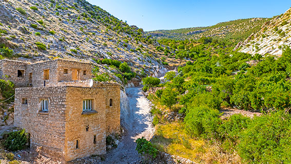 Dereli Köyüne yeni ulaşım yolları