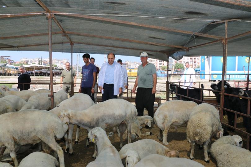 Geçici kurban satış ve kesim yerleri belirlendi