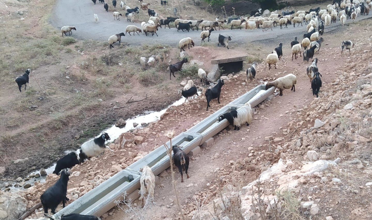 Yakaköy ve Akalin Köylerinde Hayvanlara Su Temini Projesi Başarıyla Tamamlandı