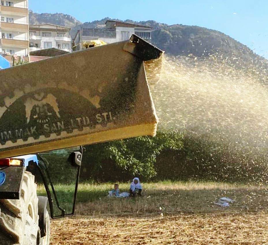 Sıcak ve nemde Patoz