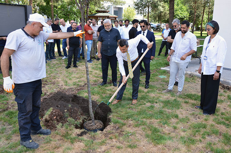 TEDAŞ’tan 30. Yıl Hatıra Ormanı