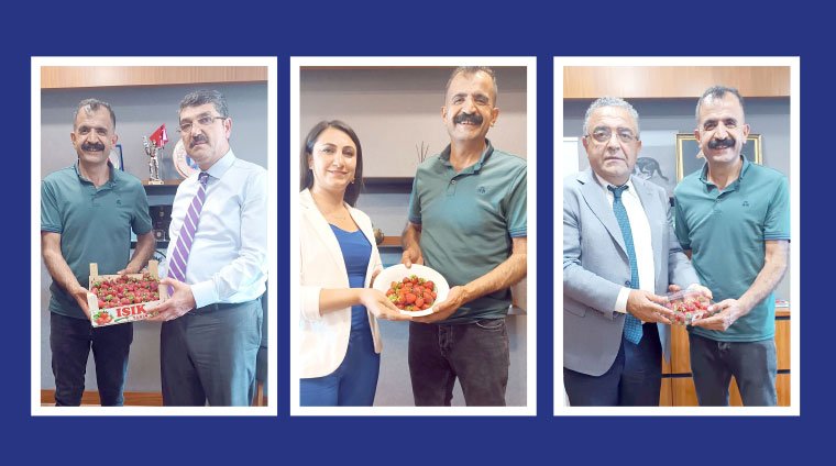 Vekiller Sason Çileğini sevdi