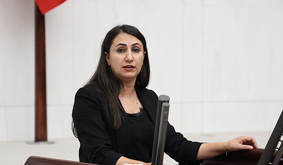 Dem Partili Oduncu: Onlarca Köyde Su Kaynakları Ve Halk Sağlığı Tehdit Altında