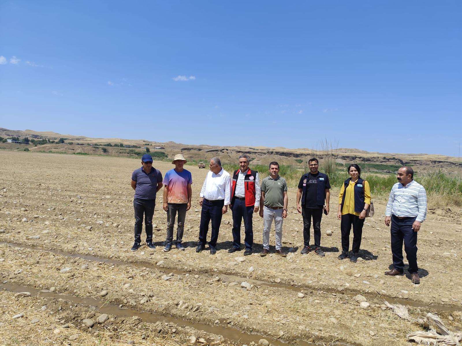 Kozluk’ta ikinci ürün olarak yağlık ayçiçeği ekimi yapıldı