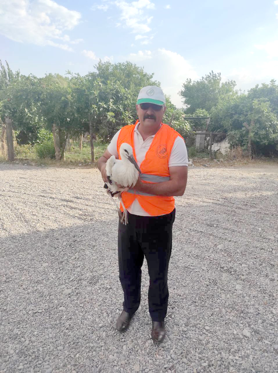 Yuvasından düşen Leylek yavrusu kurtarıldı