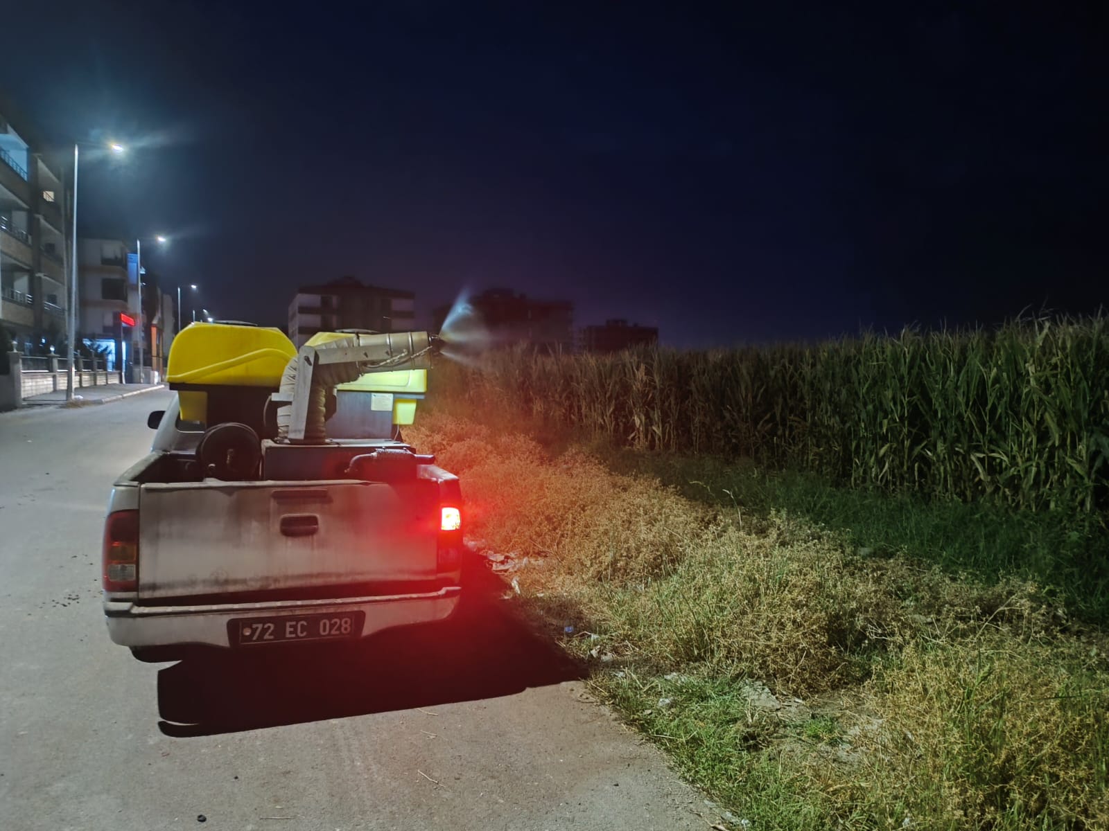 ‘Cüce ağustos böceği geçici bir sorundur’